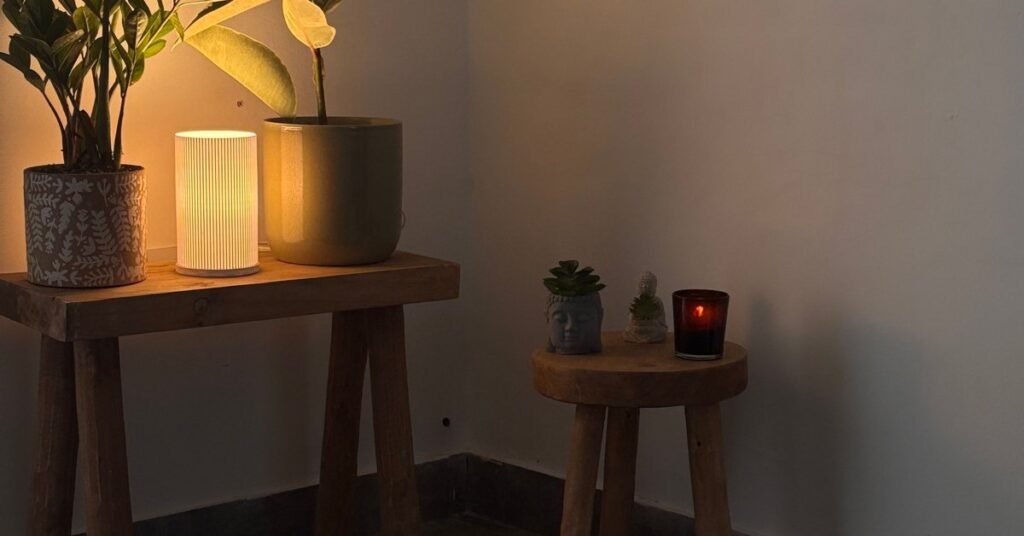 how to create a wellness corner at home with cozy plants and warm lighting